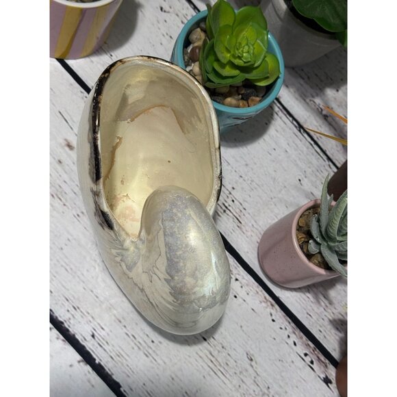 Pearlized Nautilus Shell Planter Or Display Accent - Picture 3 of 8
